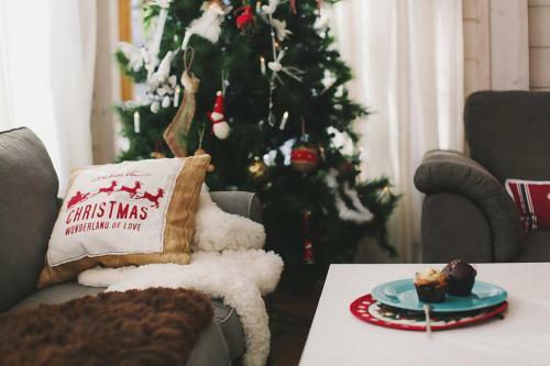 Villa St.moritz By Skokovo Park