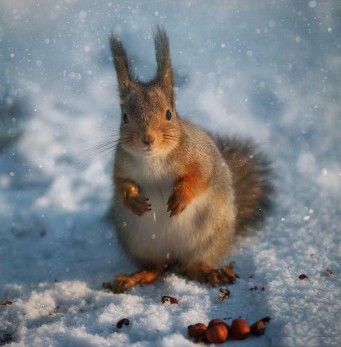 Apartamento Next Point