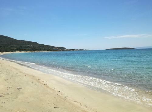 Hostal Pallas Pension