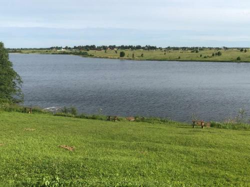 ???? ?????? ???????
