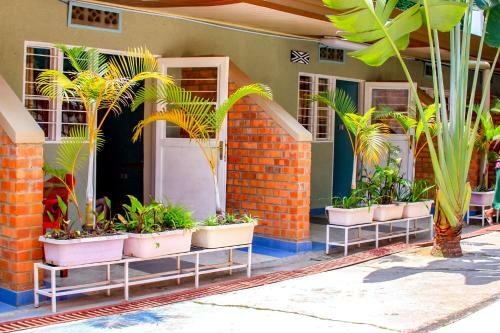 Posada Leisure Inn Motel