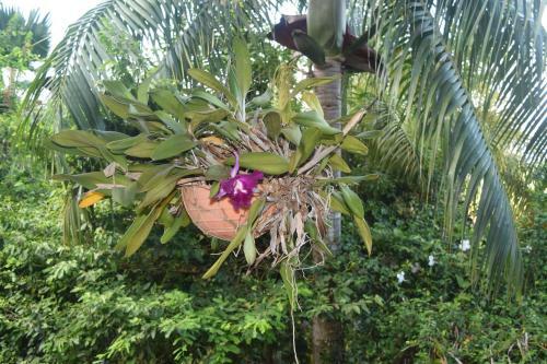 Lodge Secret Garden Villa