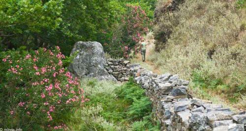 Tsikalaria Traditional Stone House