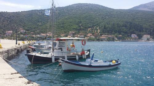 Apartamento Olive Bay Hotel