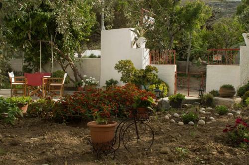 Apartamento United Europe