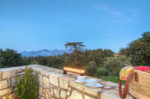 Green Paradise Villa