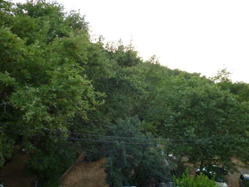Hostal Galini