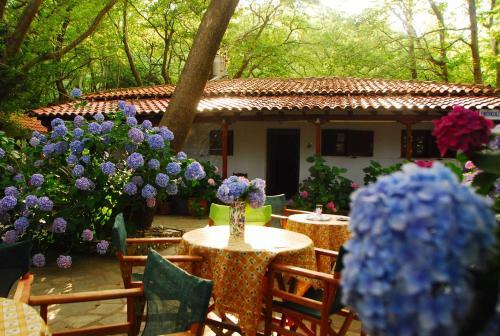 Apartamento Tasoula Parselia Studios