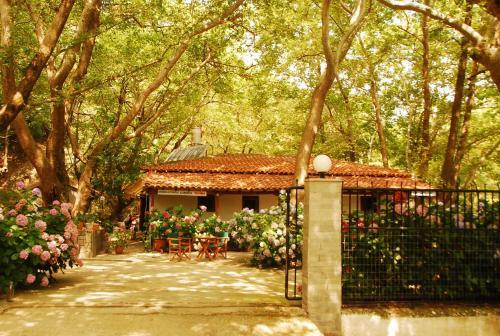 Apartamento Tasoula Parselia Studios