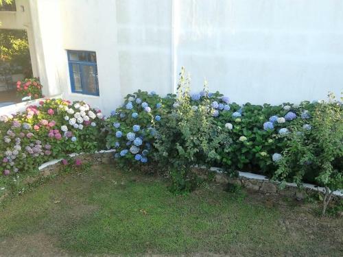 Archondissa Boutique Beach Aparthotel