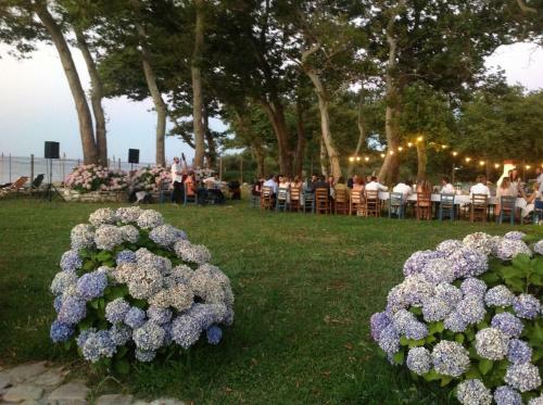 Archondissa Boutique Beach Aparthotel