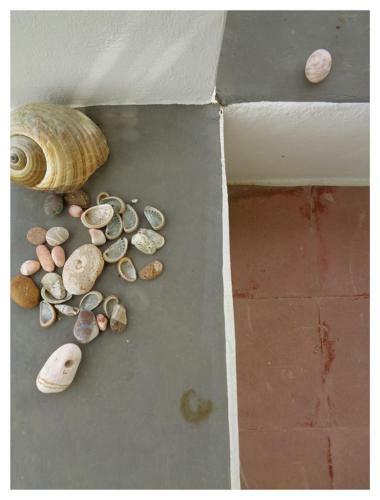Apartamento Skyros Studios