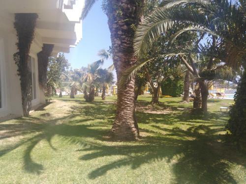 Apartamento Appart A L'hotel Mahdia Beach