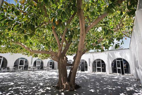 Hotel Palmyra Club Nabeul