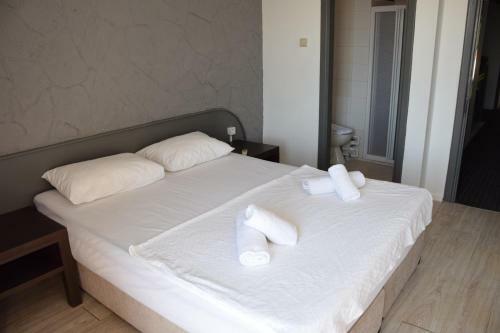 Hotel Cyssus By Ruzgar