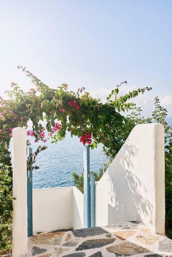 Villa Ada Dreams / Island