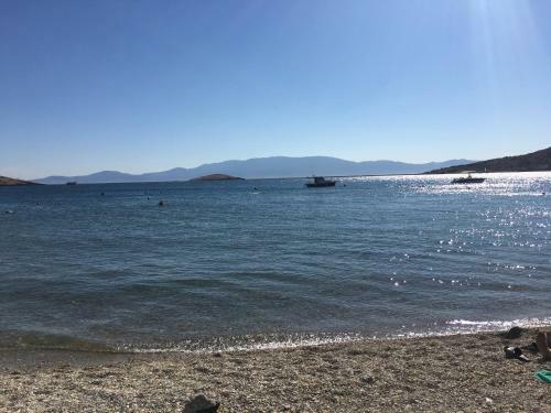 Hotel Monk Island Guesthouse