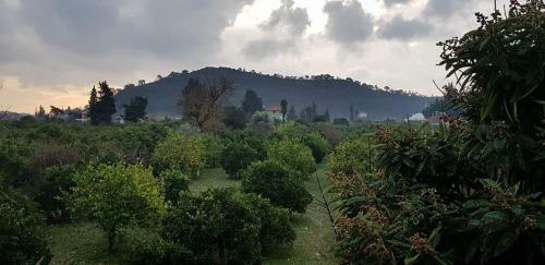 Bed & Breakfast Kutberk Boutique Hotel