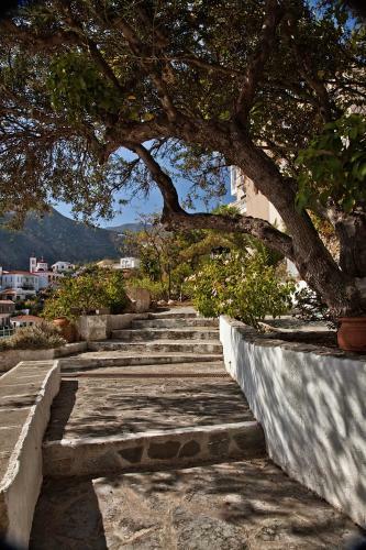 Villa Thetis