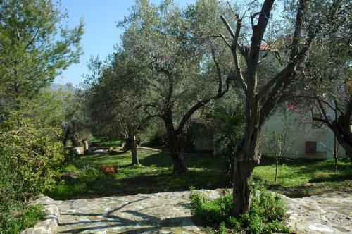 Hostal Gera's Olive Grove (elaionas Tis Geras)