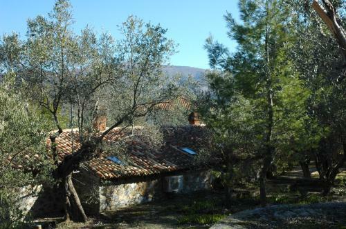 Hostal Gera's Olive Grove (elaionas Tis Geras)