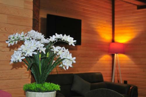 Bed & Breakfast D?lek Suit&cafe