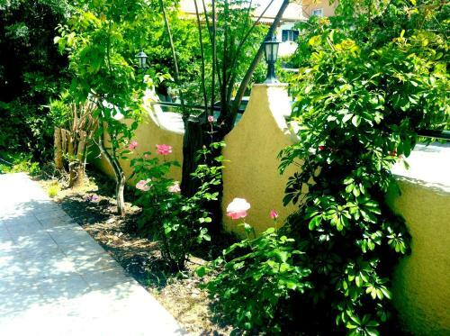 Apartamento George House