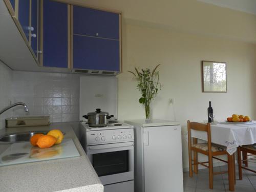 Apartamento Spasmeni Vrisi