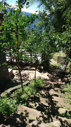 Bed & Breakfast Chingjing Abin Minshuku