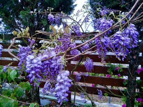 Hostal Hua Mu Xing Jing B&B
