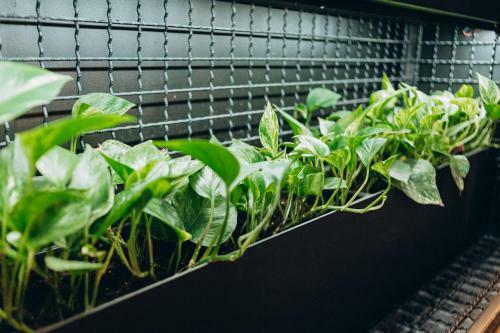 Kulikovskiy Hotel