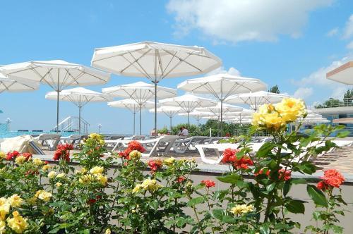 Hotel ????? ??????????-??