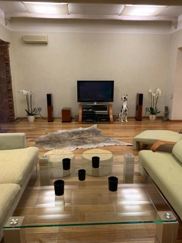 Kiev Lypki Signature Apartments