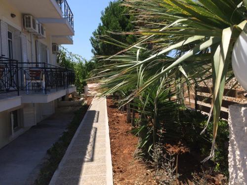 Iris Apartments