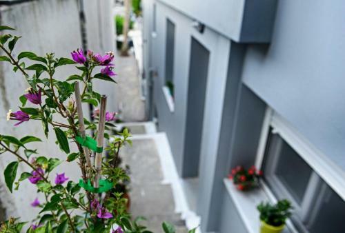 Apartamento Melissa Rooms