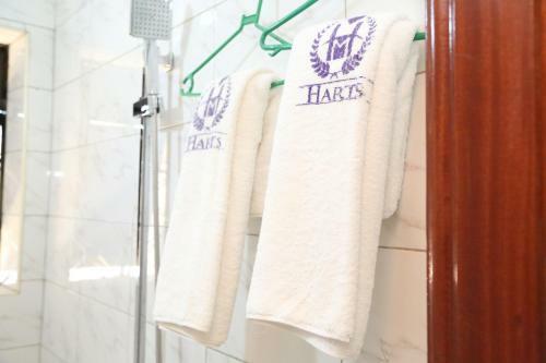 Bed & Breakfast Harts Motel
