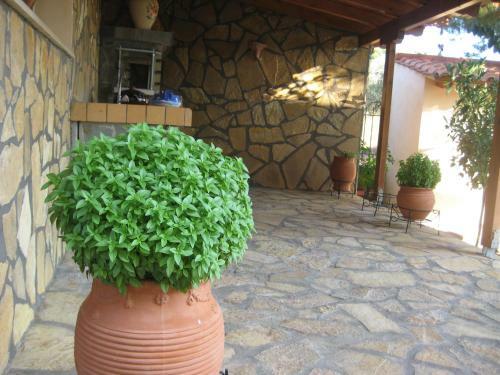 Apartamento Achladi Beach
