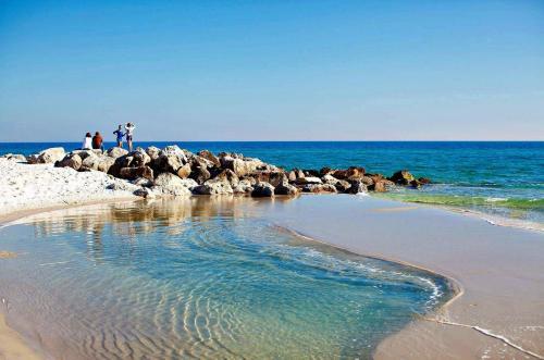 Apartamento Caribe Resort B510 Condo