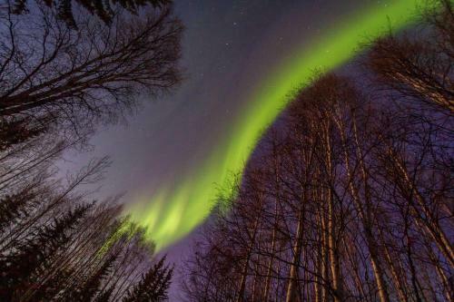 North Pole Log Cabin With Northern Lights Views!