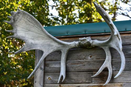 Legacy Mountain Lodge 40-acre Ranch With Views!