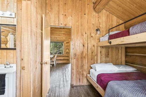 Sockeye Salmon - Kenai Kuik Cabins - River Access Cabin