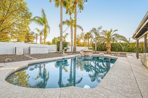 Cactus Paradise