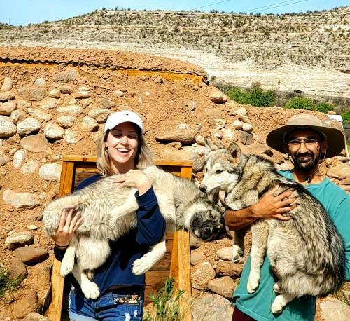 Cave, Yurt, Bubble And Other Glamping Adventures