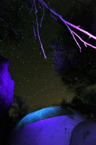 Cave, Yurt, Bubble And Other Glamping Adventures