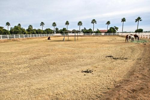 Luxurious Surprise Abode On A Citrus And Horse Ranch!