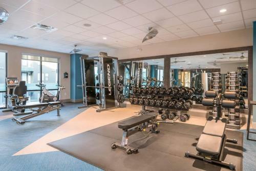Apartamento Wanderjaunt - Autumn - 1br - Tempe