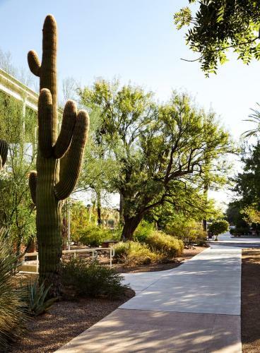 Hotel Graduate Tucson
