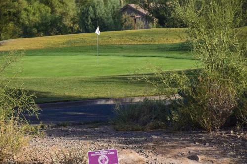 Deluxe Townhouse At Starr Pass Golf Resort!
