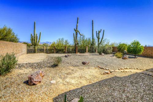 Four Saguaros At Dove Mountain