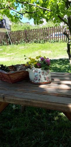 Hostal Ioska's House